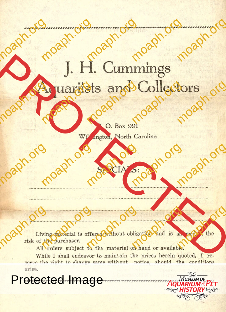 J.H. Cummings Aquariists and Collectors