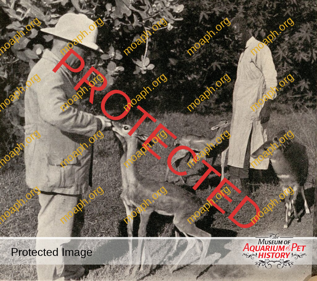 Wilde Tiere Frei Haus (Wild Animals / Free Delivery) - Chapter 8 - Kamele Sind Doch Kluge Tiere (Camels are Indeed Clever Animals)