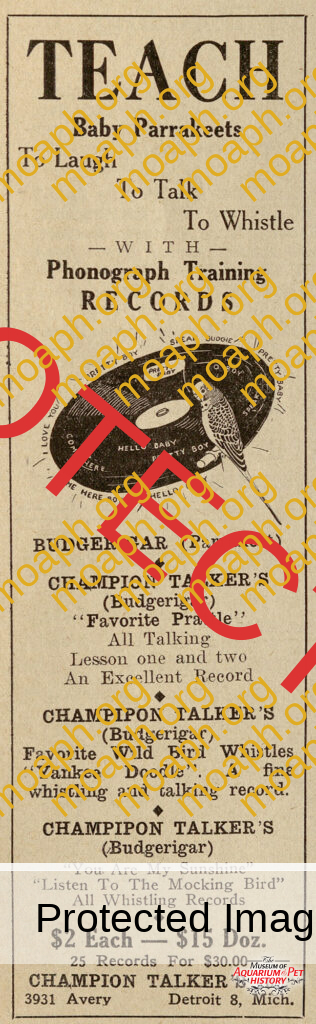 Parakeet Record Ad