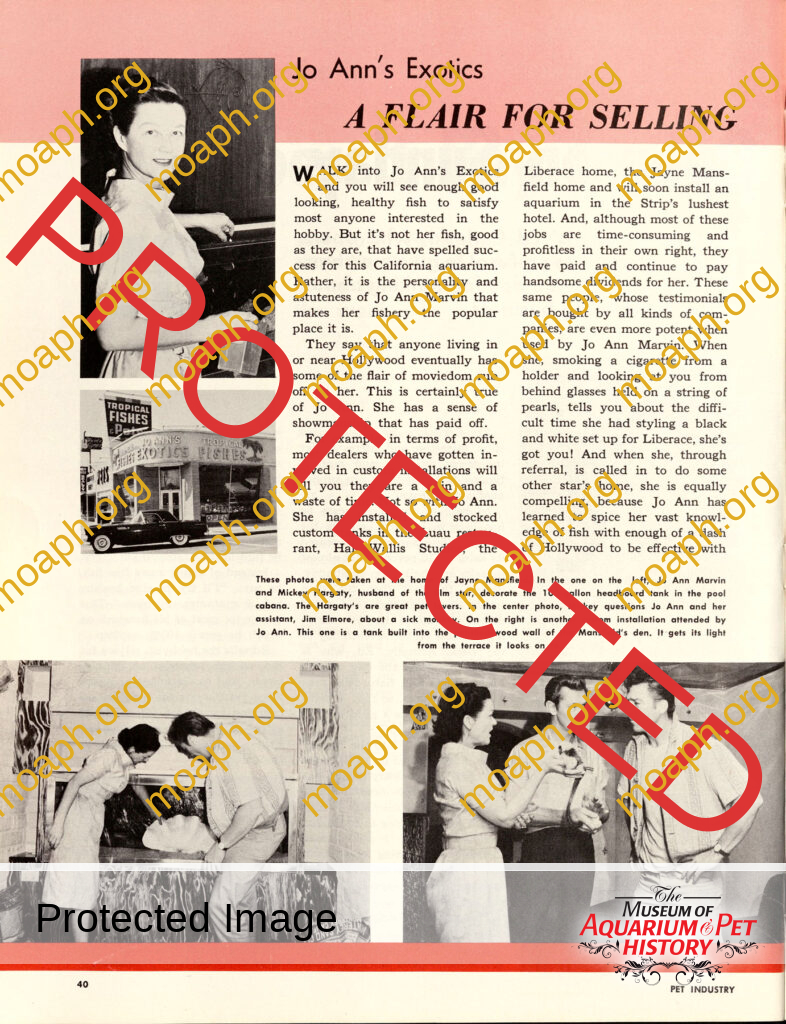 Jo Ann's Exotics in Hollywood, CA