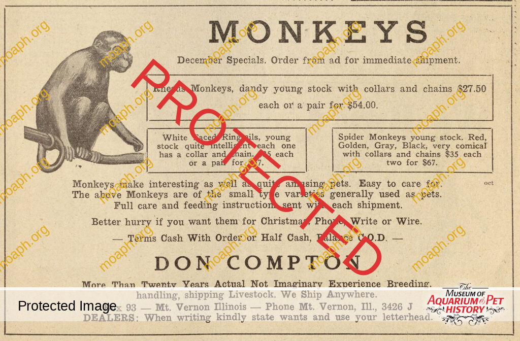 Don Compton Monkeys