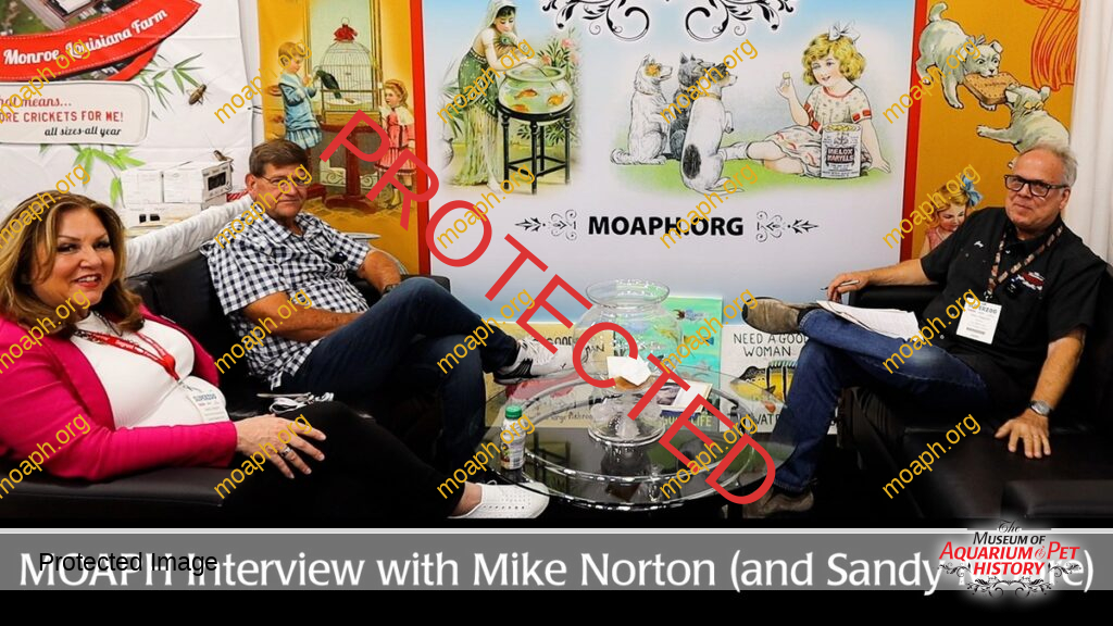 MOAPH Interview with Mike Norton (and Sandy Moore)