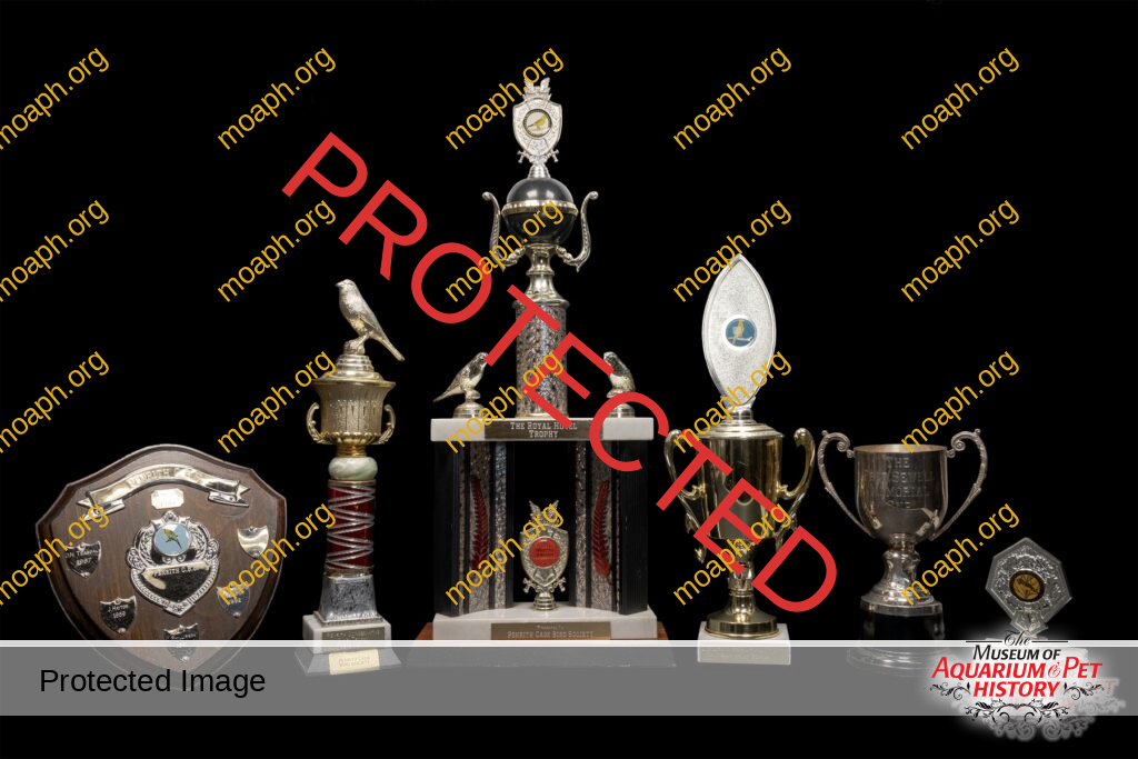 Variety of Bird Club Trophies