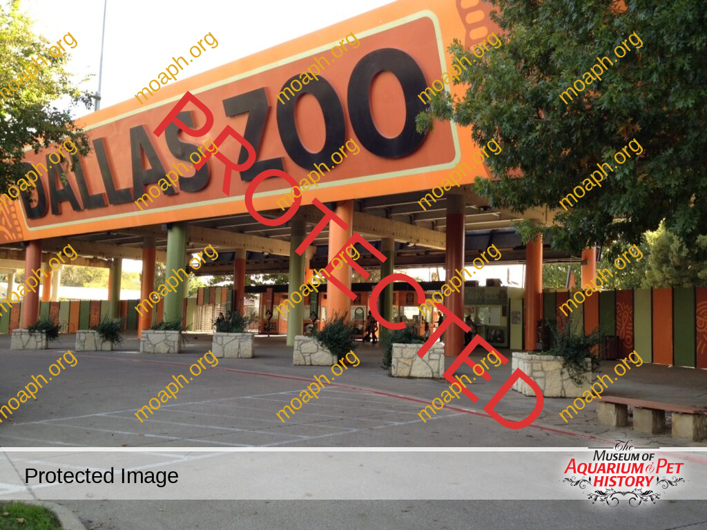 Portrait of a Herpetologist as a Middle-Aged Man - Part 6: History of the Dallas Zoo Department of Herpetology (1965-2005) and Comments on the Shrinking Importance of Zoo Herpetology