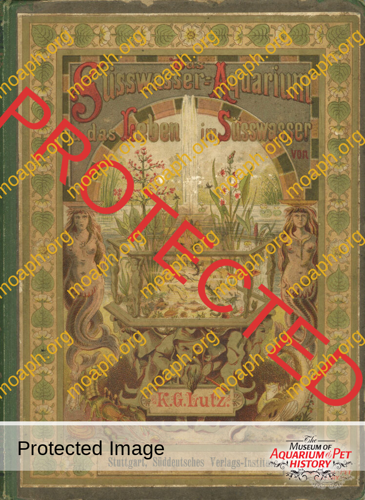 The Most Beautiful Aquarium Book