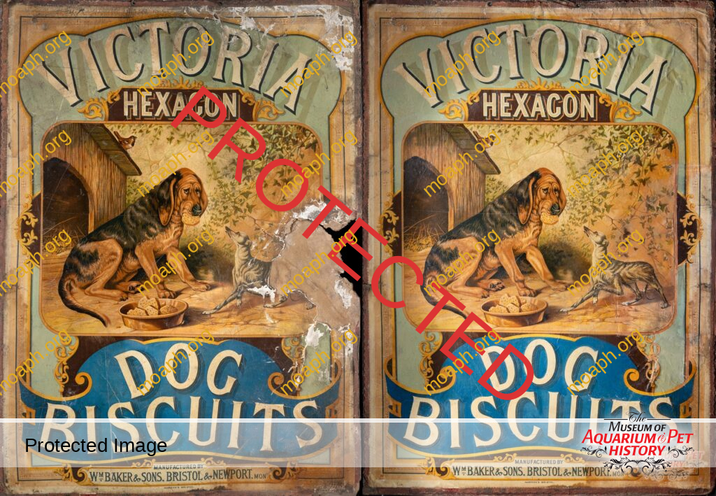 Victoria Hexagon Dog Biscuit Sign