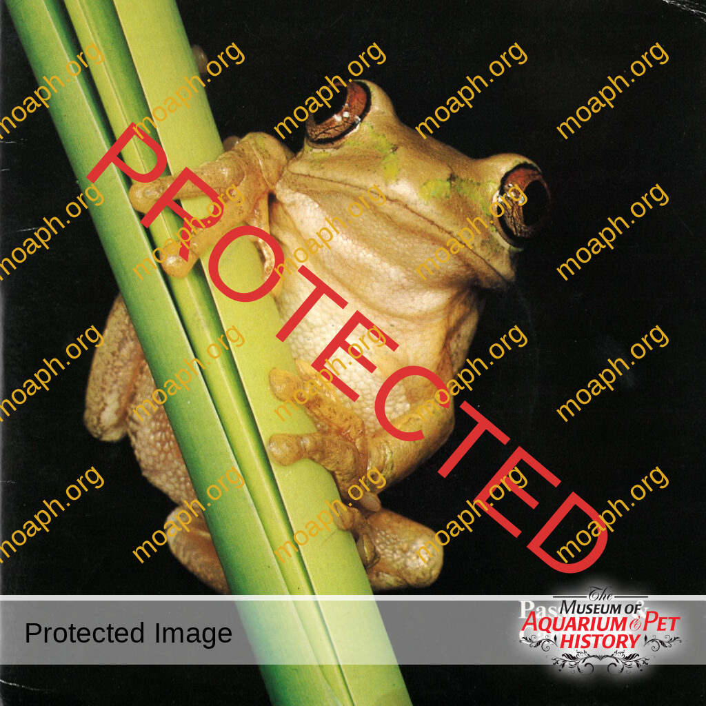 Voices of South African Frogs