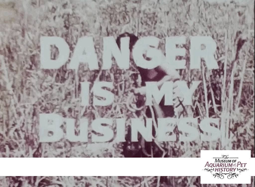 8mm - Danger is My Business