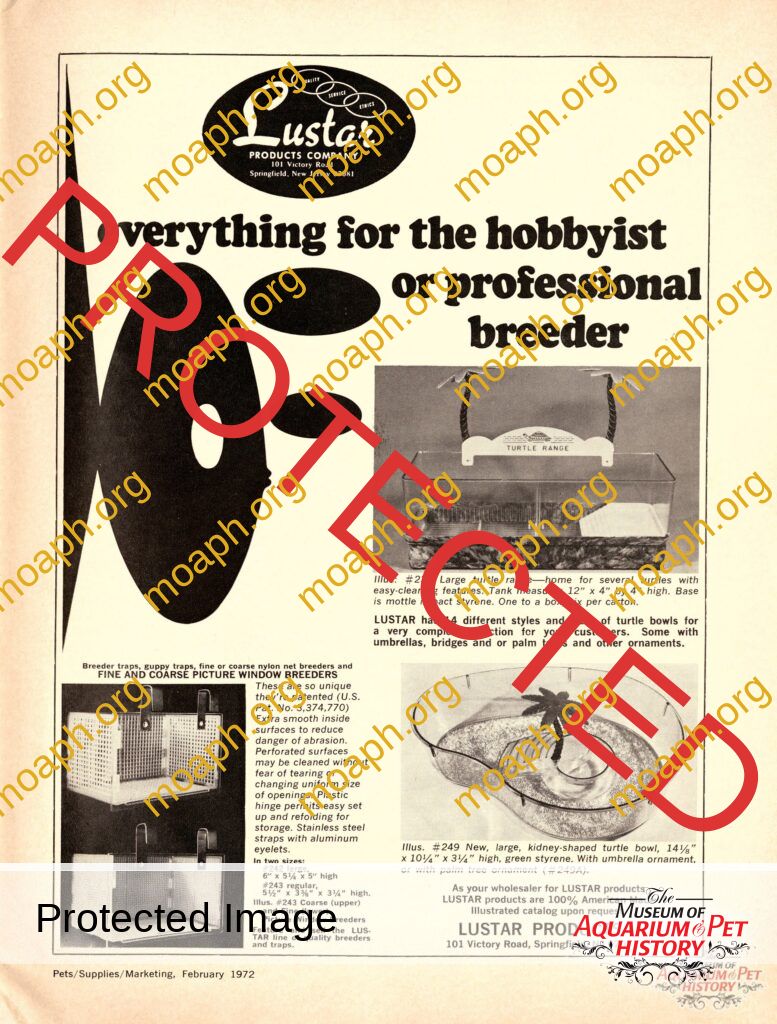 Lustar Turtle Bowl 1972 Ad