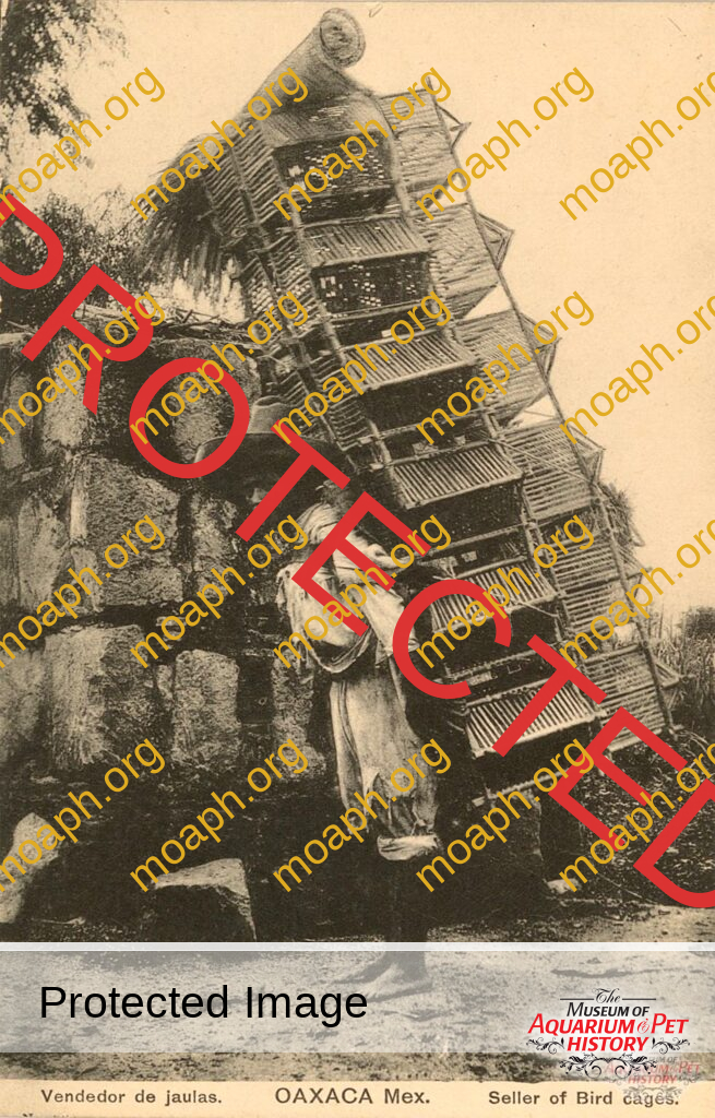 Oaxaca Bird Cage Seller