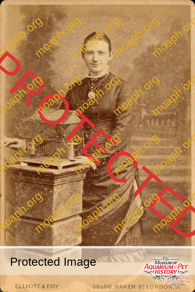 Mrs. Maddox with her Bird Cage