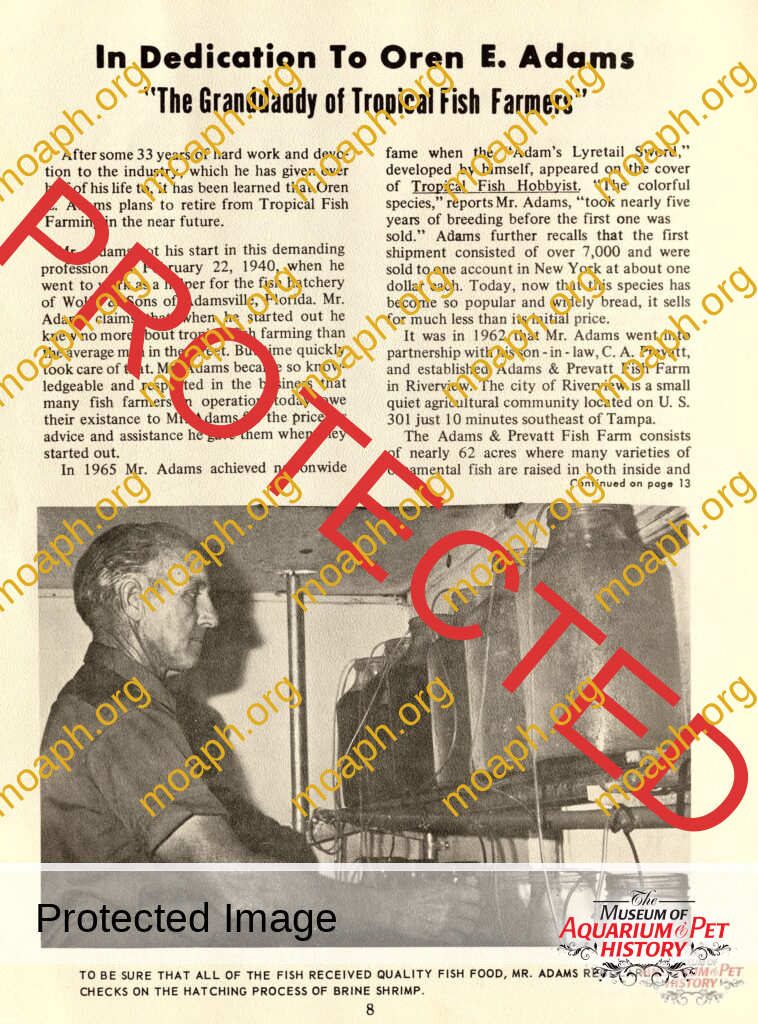 The Granddaddy of Tropical Fish Farmers - From the Publication of the "Trader", Florida Tropical Fish Industries