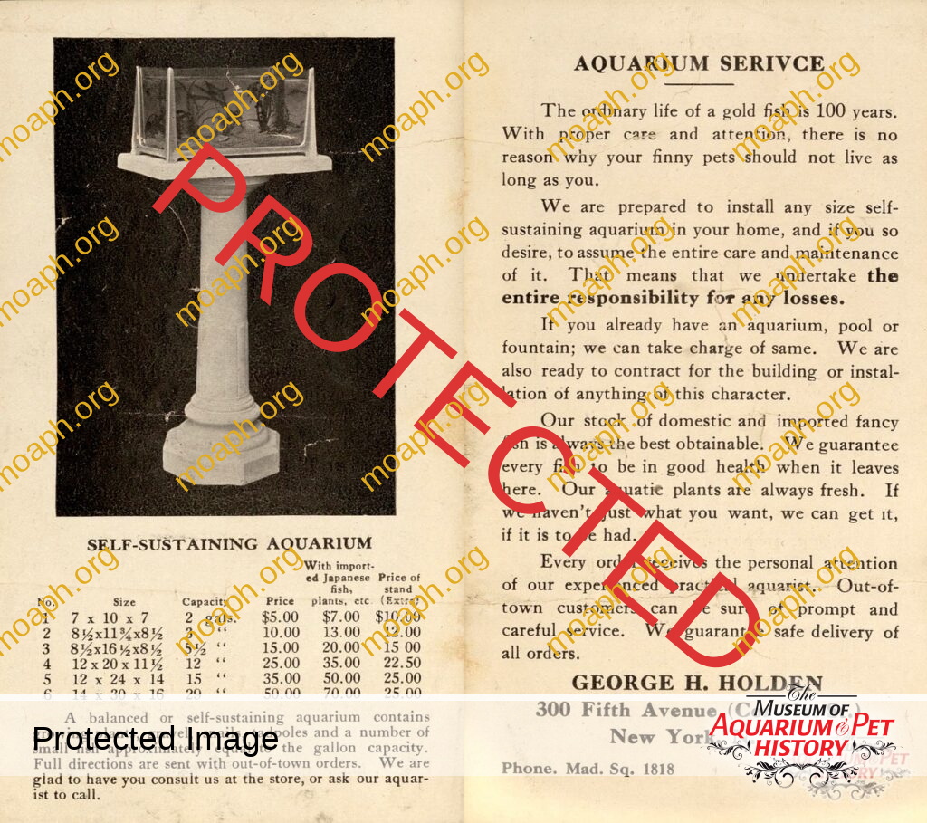 Self-Sustaining Aquarium Postcard from George Holden's Bird Store