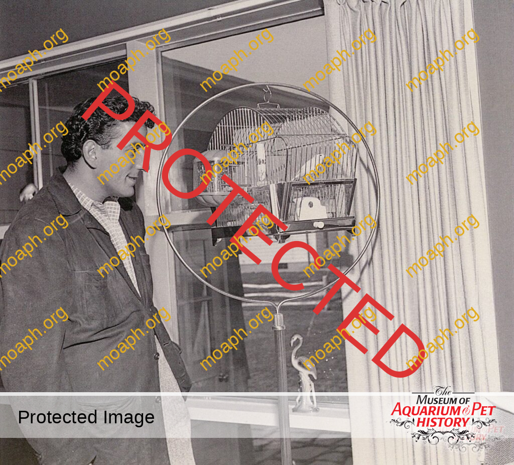 Tony Bennett with Pet Canary