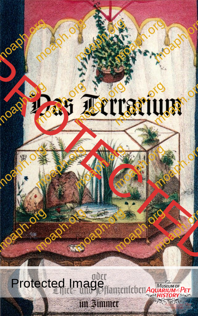 From the Wardian Case to the Terrarium: The History Behind the Development