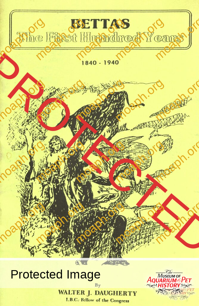 Bettas - The First Hundred Years (1840-1940)