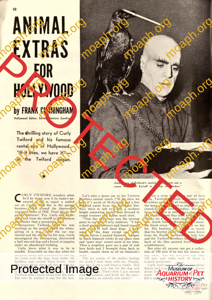 Animal Extras for Hollywood