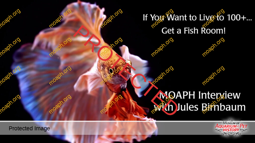 How to Live to 100+? Get a Fish Room! Interview with Jules Birnbaum
