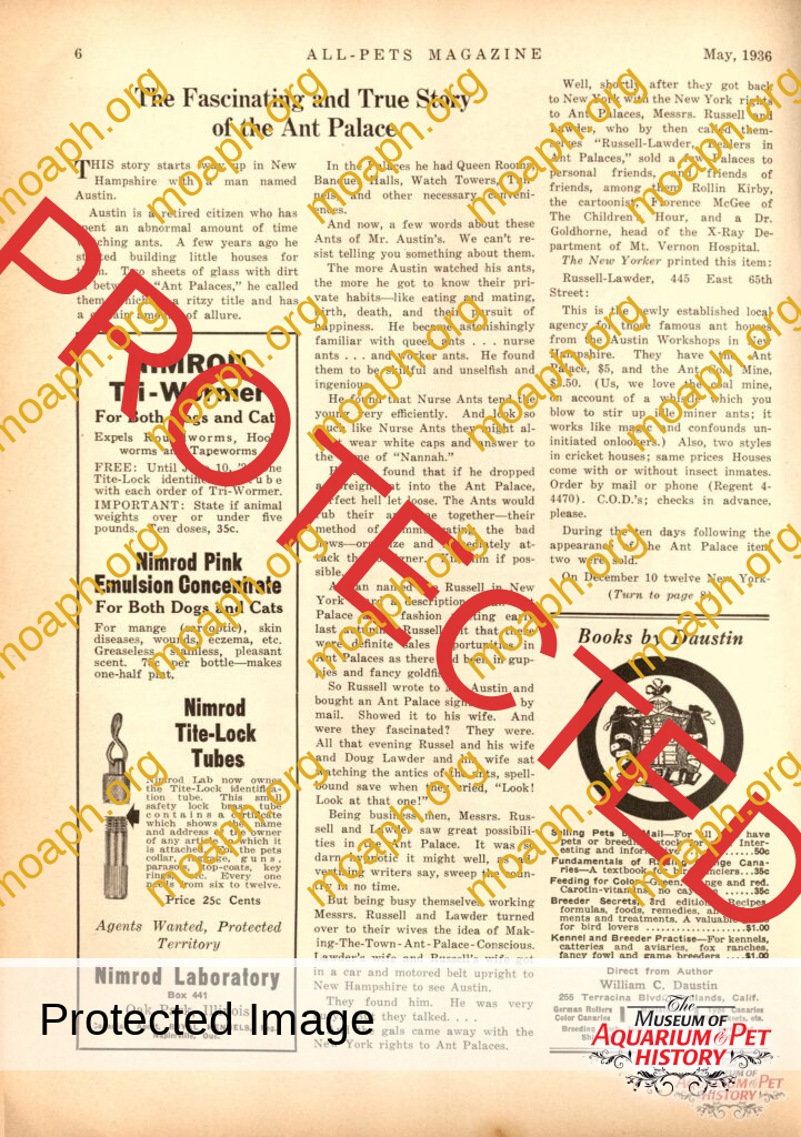 The Fascinating and True Story of the Ant Palace