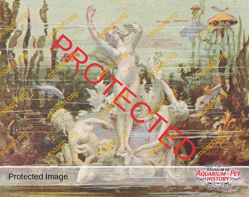 Aquarium de Paris (1900): An Immersive Aquatic Theater - Part 1