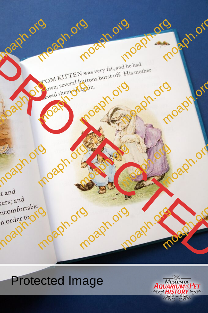 Cats as Literary Muses