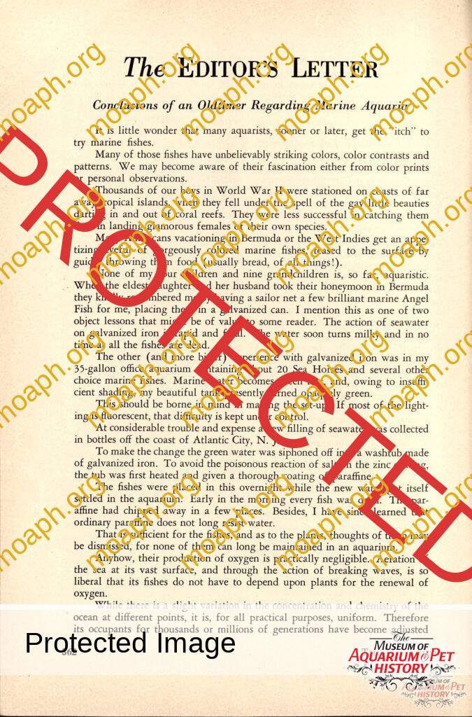 The Editor's Letter: Marine Fishkeeping in 1953