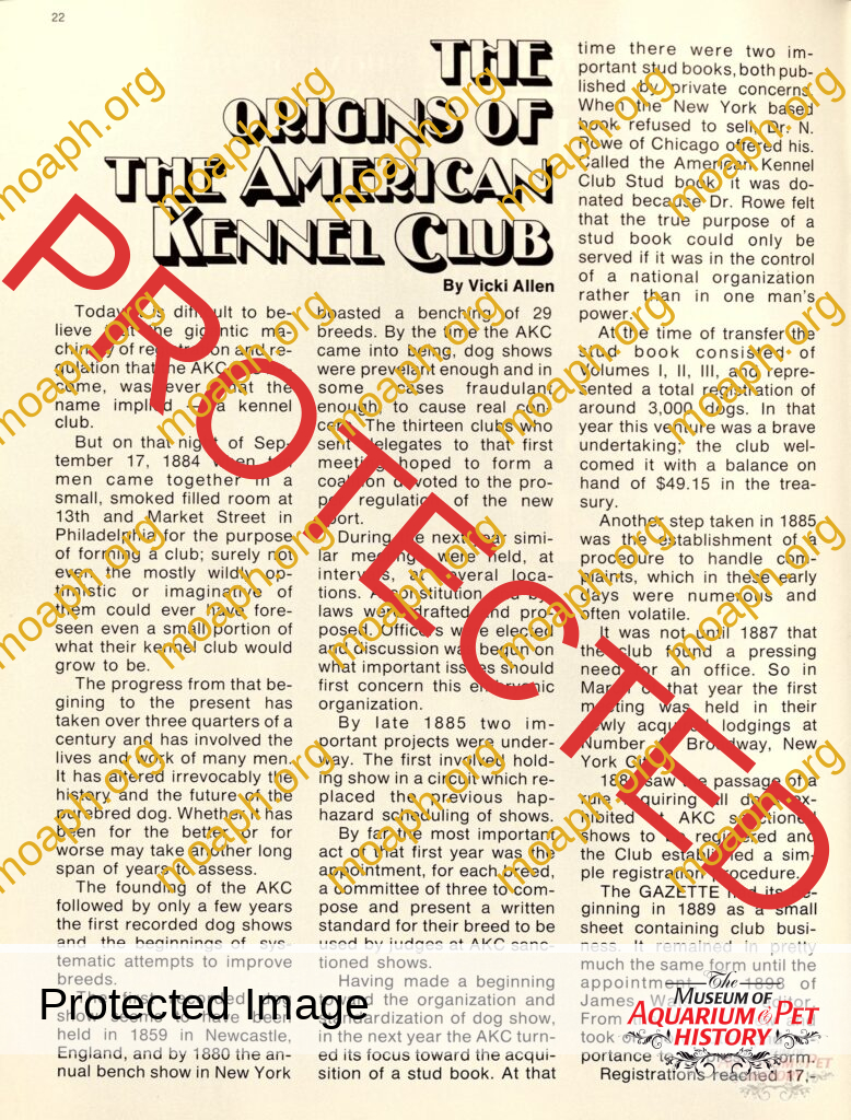 The Origins of The American Kennel Club