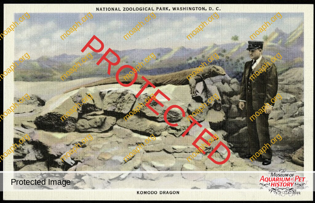 Portrait of a Herpetologist - Part 8: The Past to Now