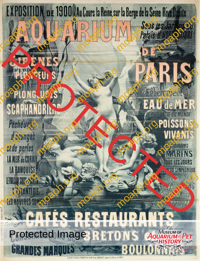 Aquarium de Paris (1900): An Immersive Aquatic Theater Part-2