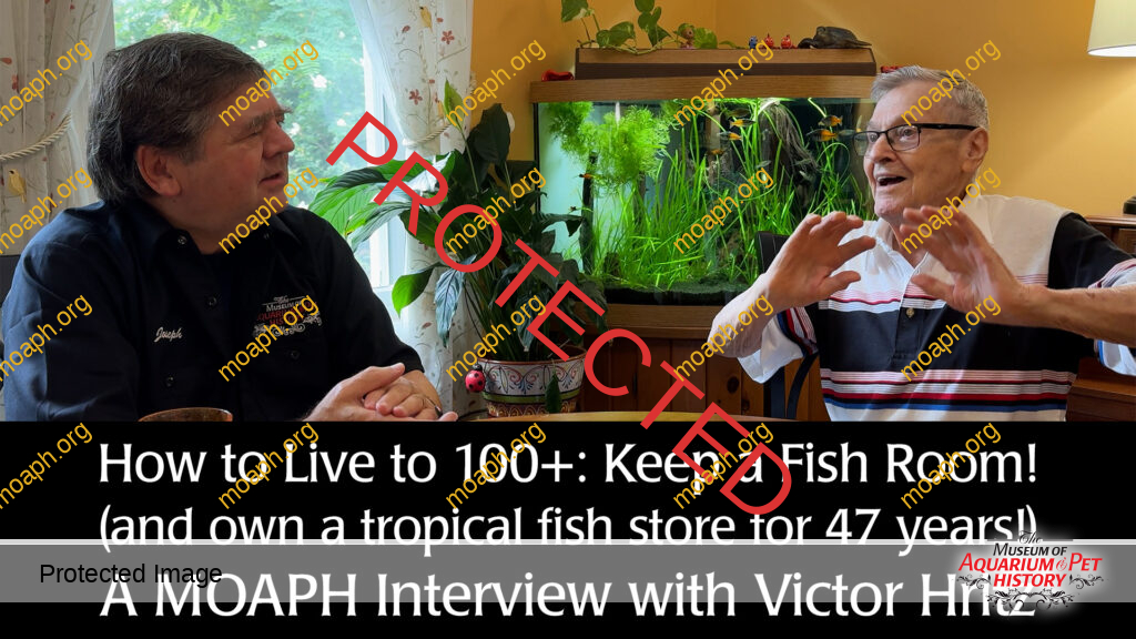 How to Live to 100+?  Keep a Fish Room! Interview with Victor Hritz