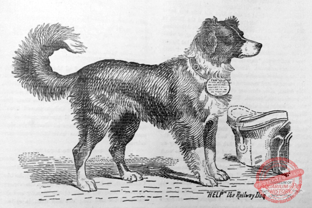 A Different Type of Training