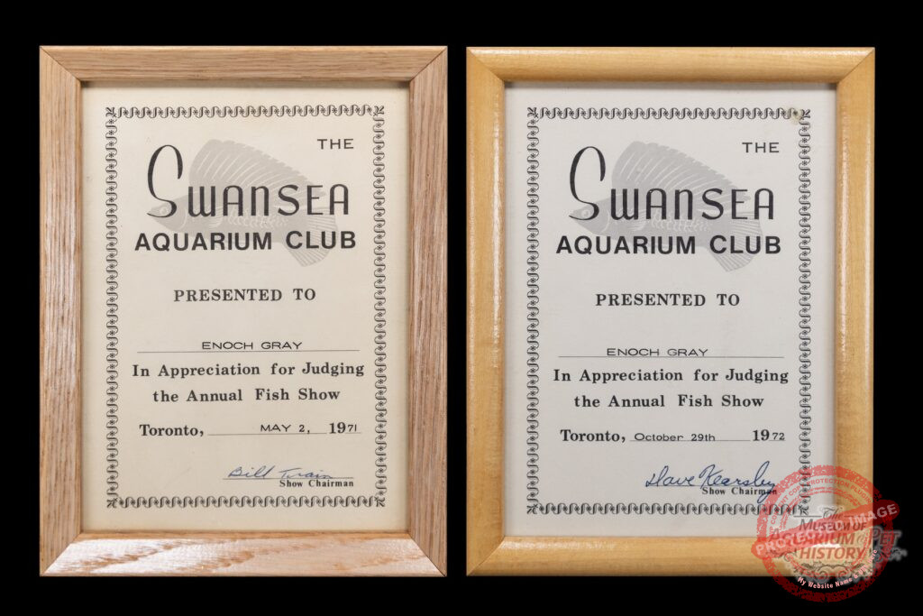 Swansea Aquarium Club Fish Judging Award from 1972