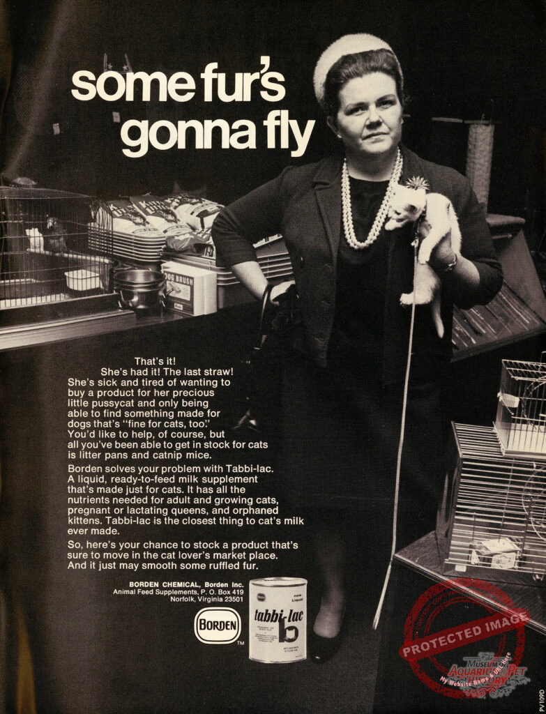 Borden Cat Formula 1970 Ad