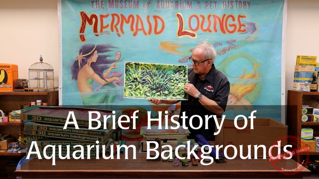 A Brief History of Aquarium Backgrounds