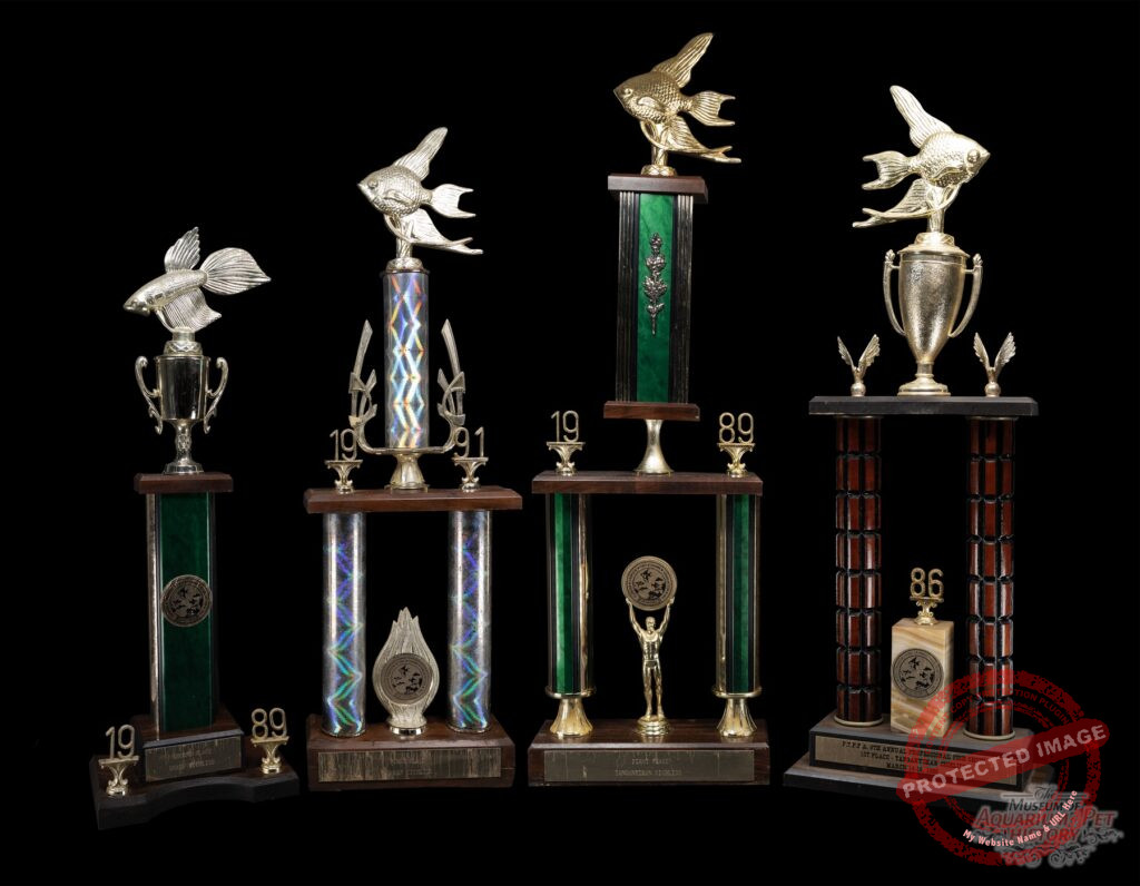 1986-1991 Cichlid Trophies