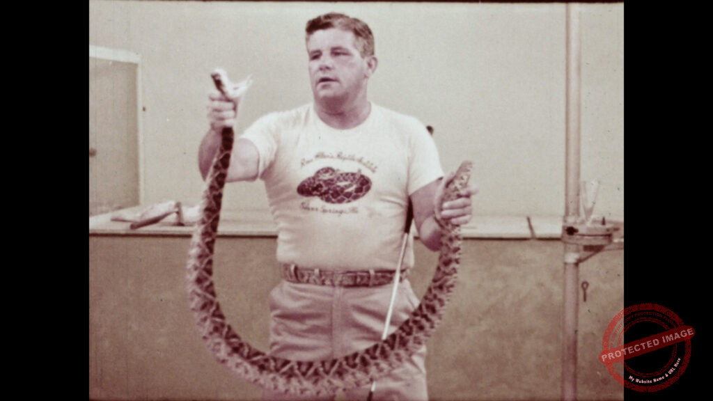 Ross Allen Reptile Institute Tour