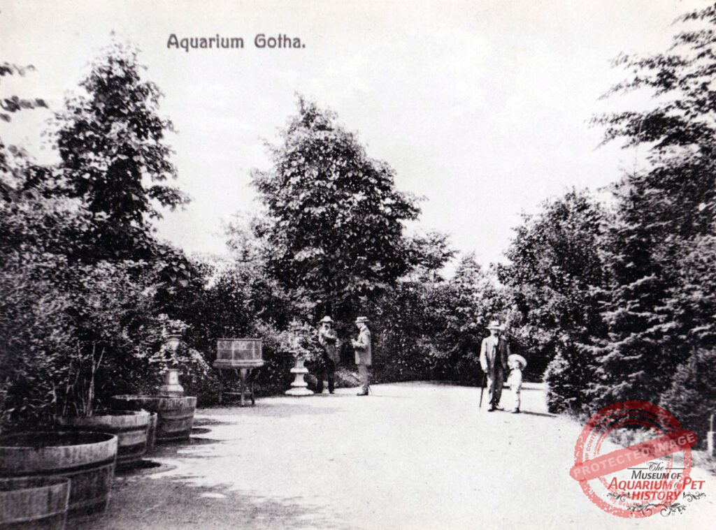 1882 - The Founding of the World’s First Aquarium Society in Gotha