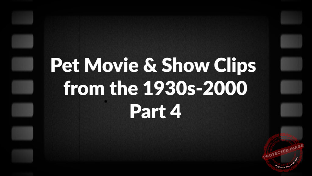 Pet Movie & Show Clips from the 1930s-2000 Part 4