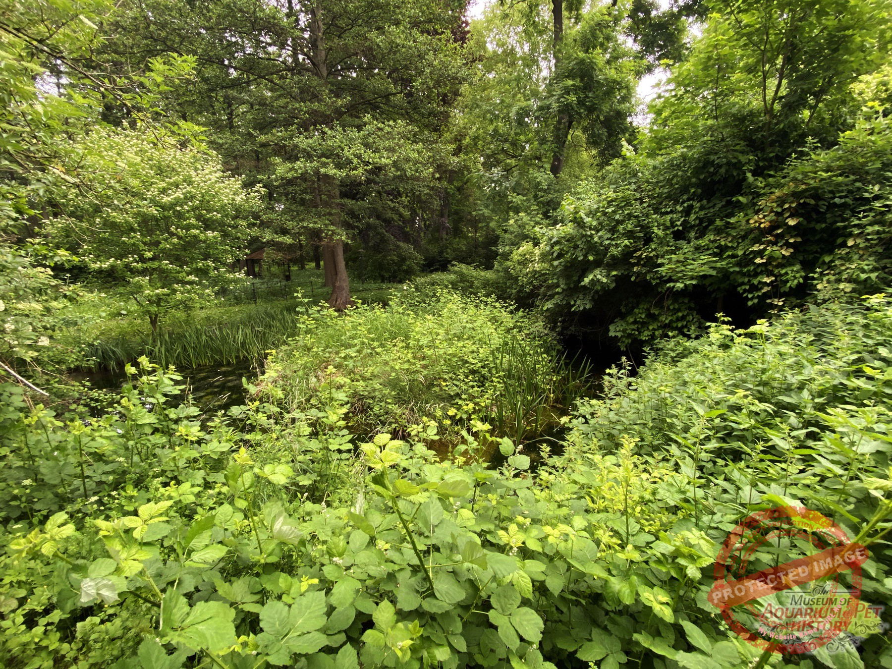 1900 to Early 1922_photo-19