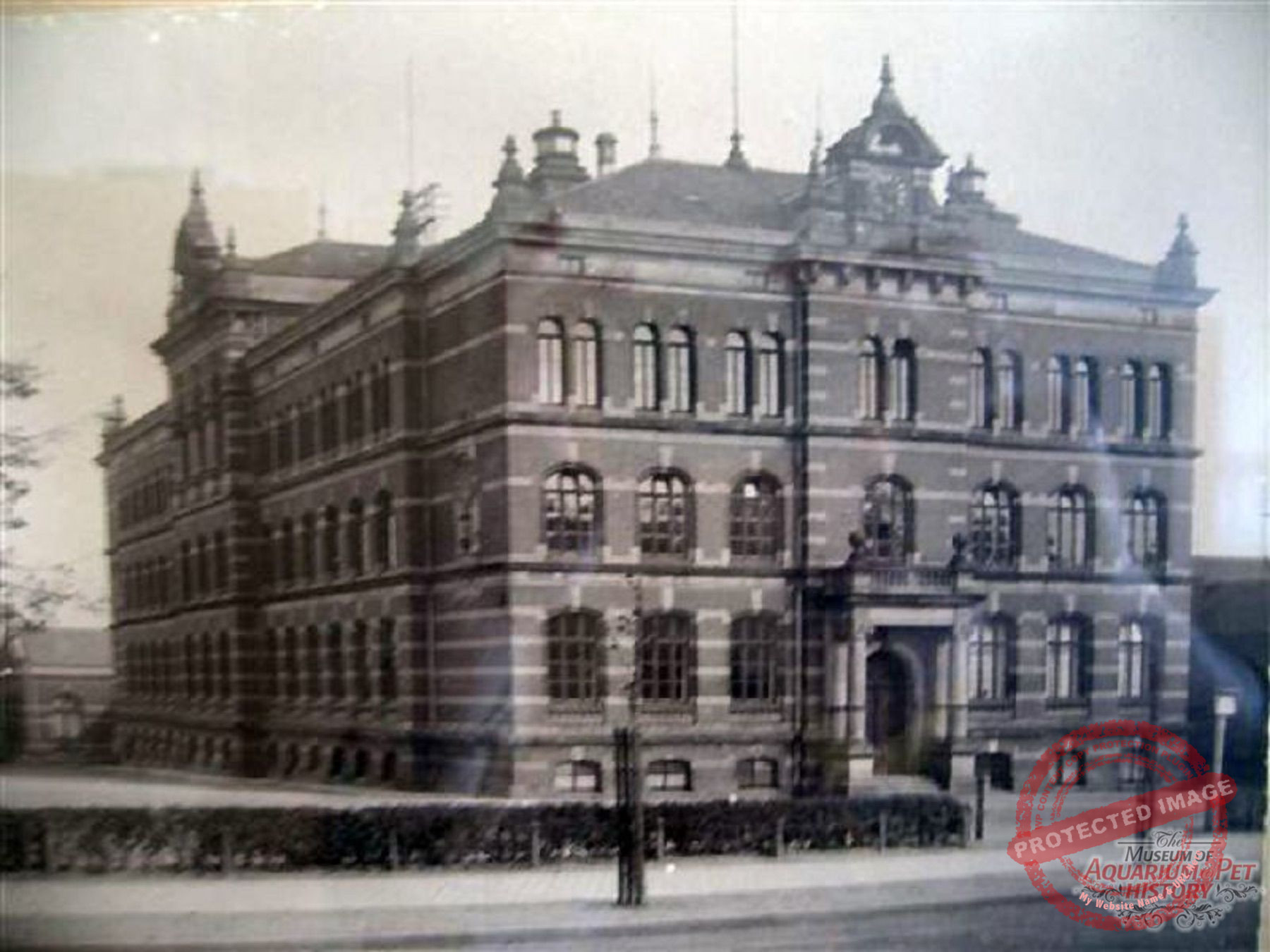 1900 to Early 1922_photo-2