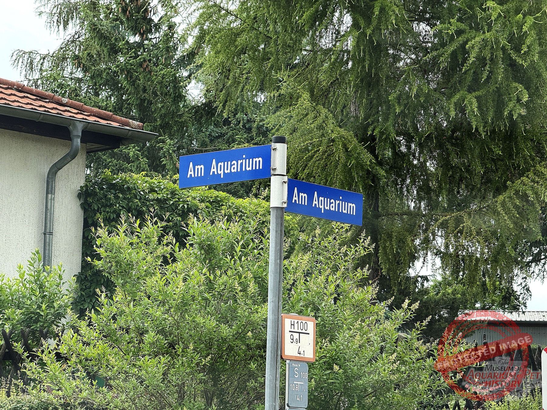 1900 to Early 1922_photo-20