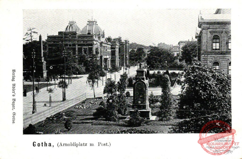 1900 to Early 1922 - Founding of the Next Society: Gothaer Aquarien und Terrarienfreunde