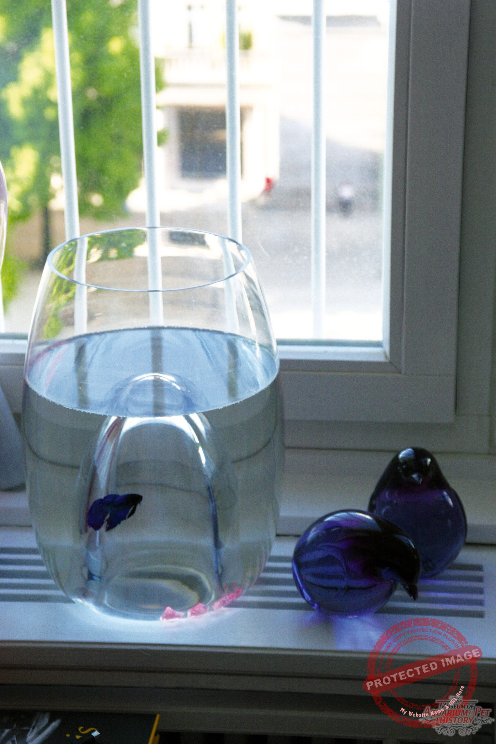 1900 to Early 1922_photo-7