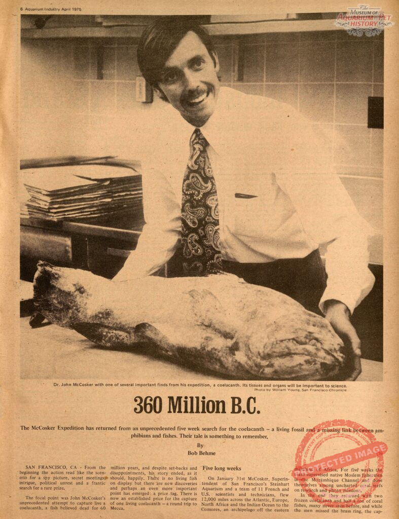 360 Million B.C. (Hunting the Coelacanth for the Steinhart Aquarium. Dr. John McCosker)