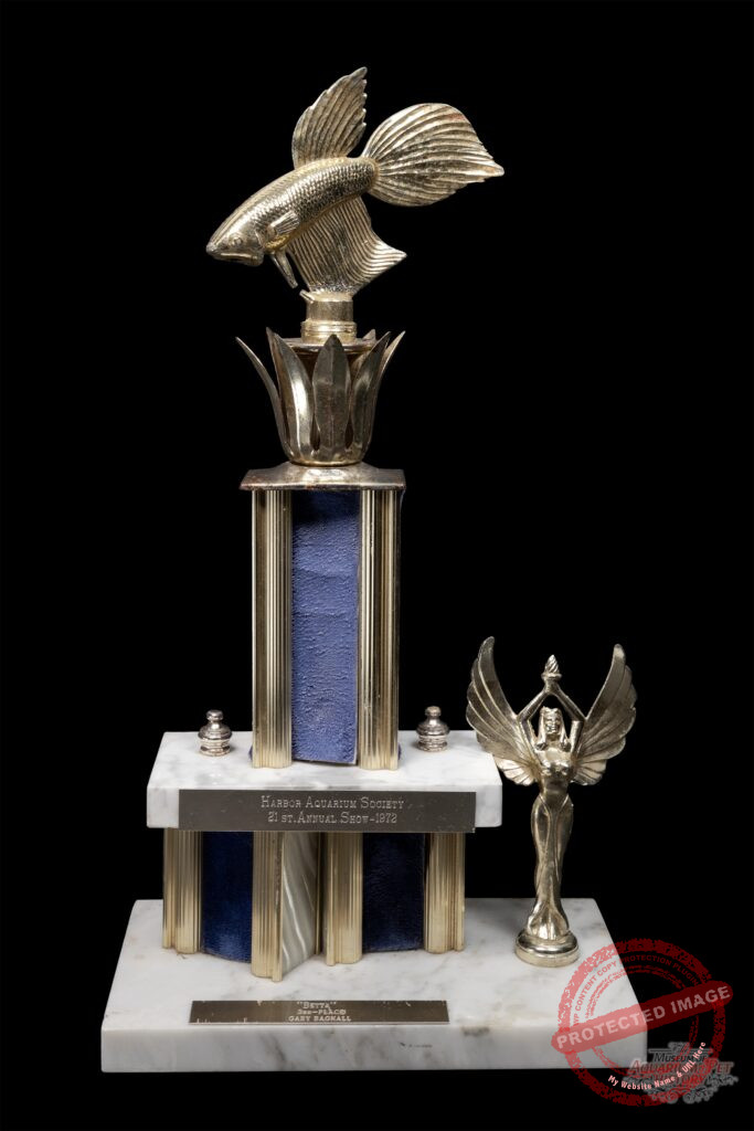 1972 Harbor Aquarium Society Trophy