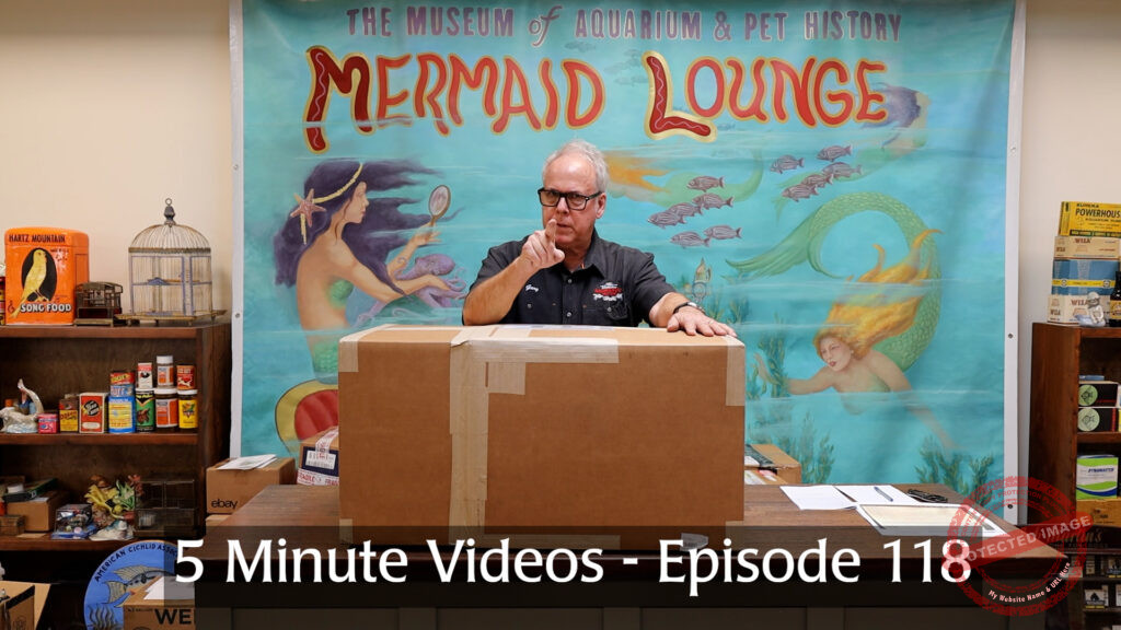 MOAPH 5 Minute Videos - Episode 118