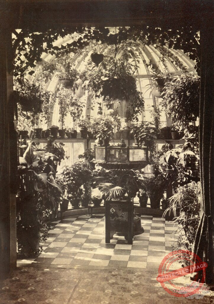 Victorian Era Greenhouse with Fountain Aquarium