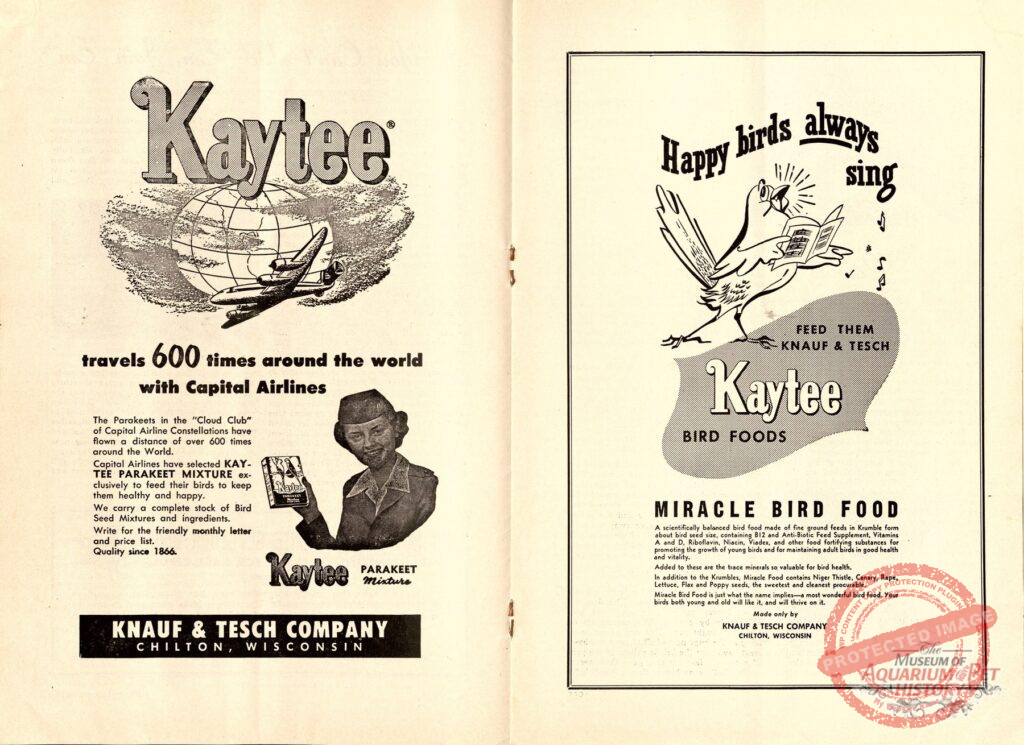 Kaytee Bird Foods 1955 Ad