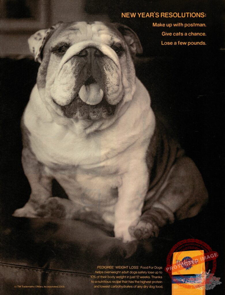 2005 Pedigree Bulldog Ad