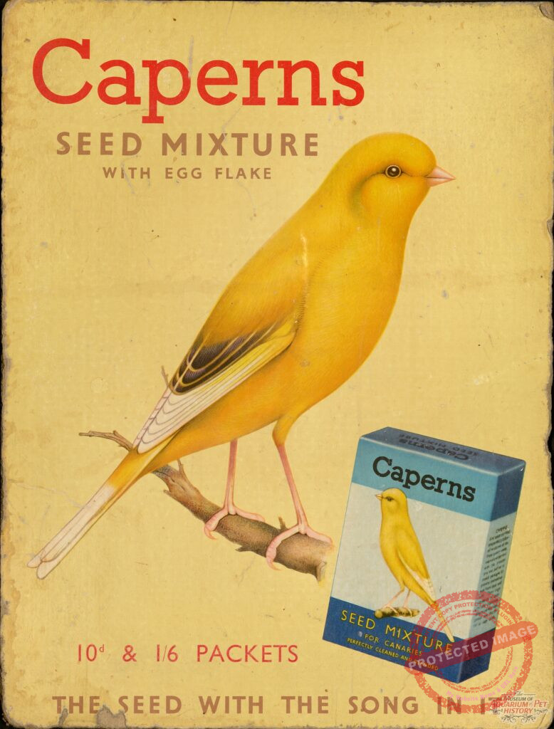 Capern's Collectibles (Bird Seed/Wedgewood Pottery)